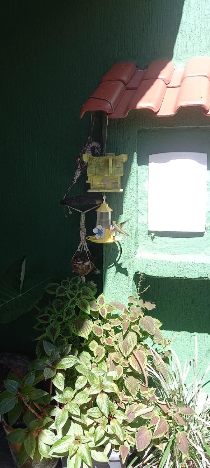 אובטובה Pousada Bambu Rio Da Pratta מראה חיצוני תמונה
